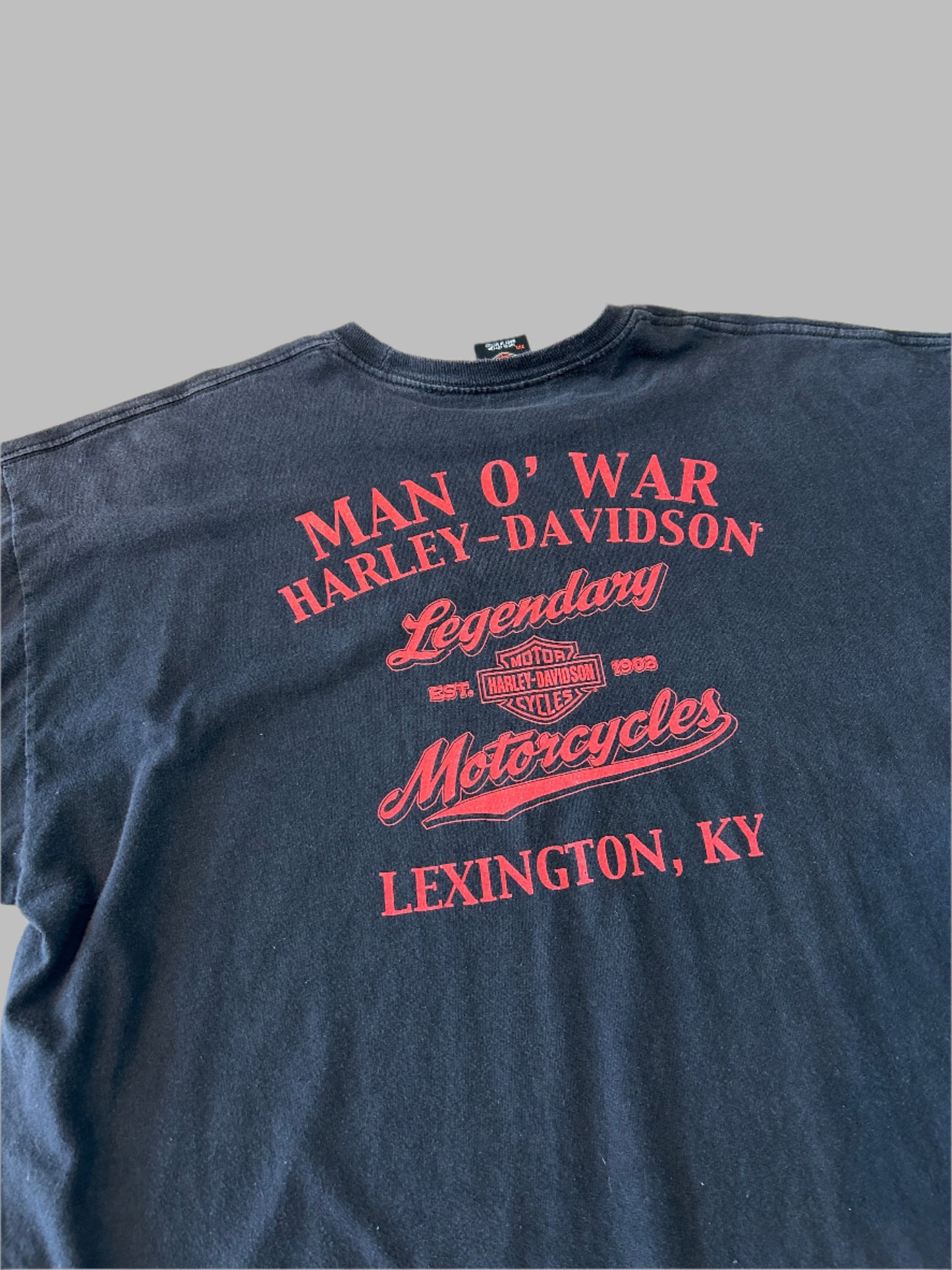 Harley Davidson 2010 T-Shirt, 2XL